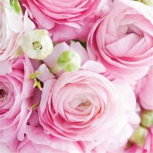 Meet your Posher, Dalia